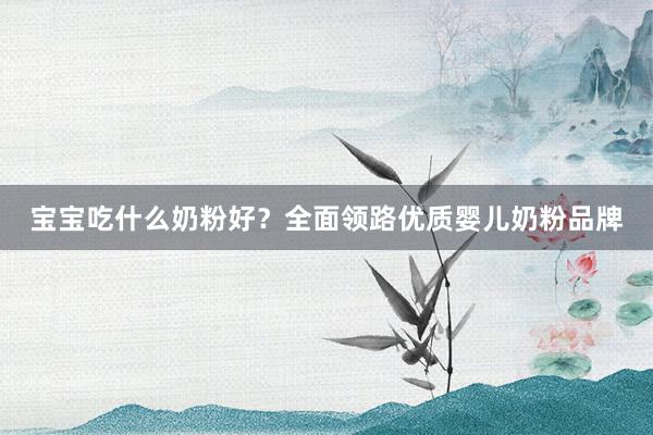 宝宝吃什么奶粉好？全面领路优质婴儿奶粉品牌